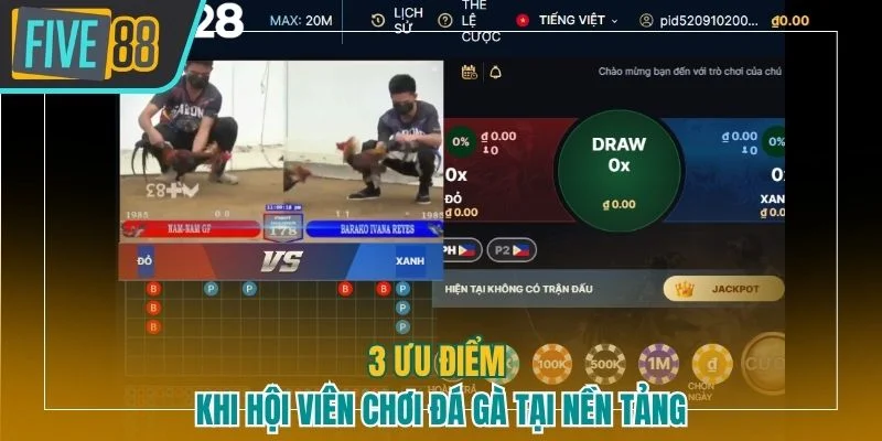 3 ưu điểm khi hội viên chơi đá gà tại nền tảng