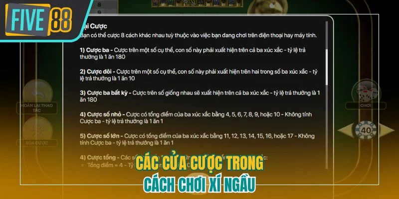 Các cửa cược trong cách chơi xí ngầu