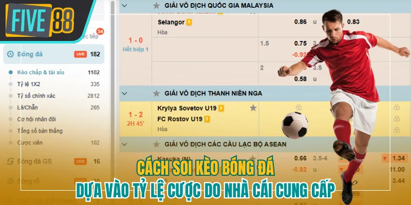 Cách soi kèo bóng đá đỉnh cao dựa vào tỷ lệ cược
