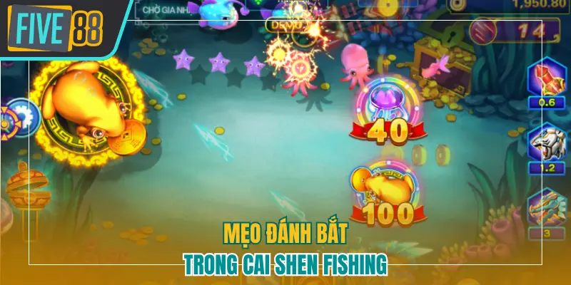 Mẹo đánh bắt trong Cai Shen Fishing