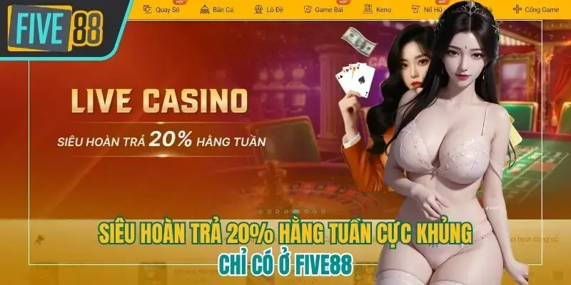 Siêu hoàn trả 20% hàng tuần
