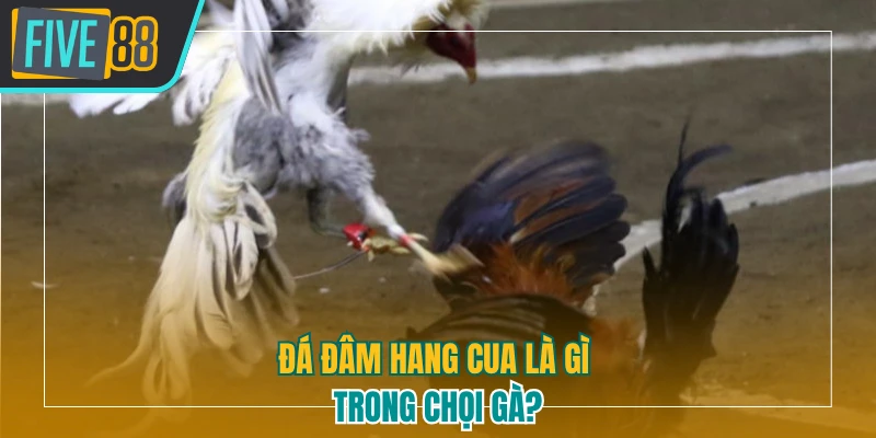Tìm hiểu về câu hỏi đá đâm hang cua là gì