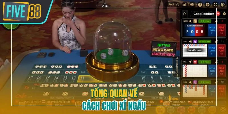 Tổng quan về cách chơi xí ngầu