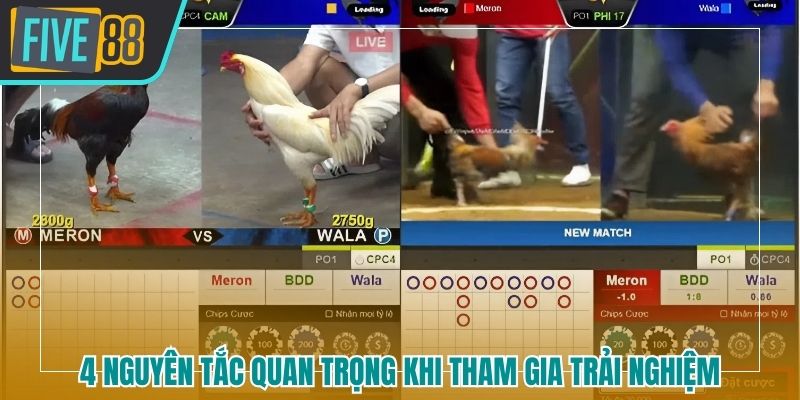 4 nguyên tắc quan trọng khi tham gia trải nghiệm