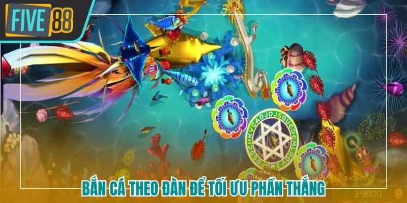 Bắn cá theo đàn để tối ưu phần thắng