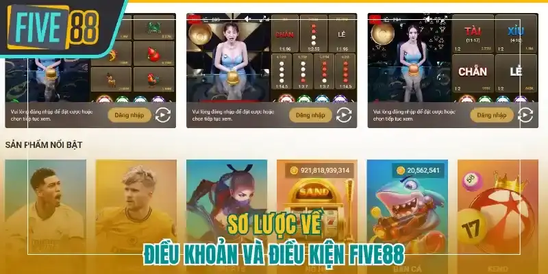 Sơ lược về điều khoản và điều kiện Five88